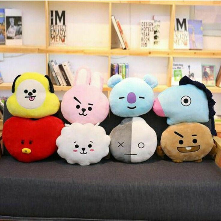 30cm BT21 face pillow